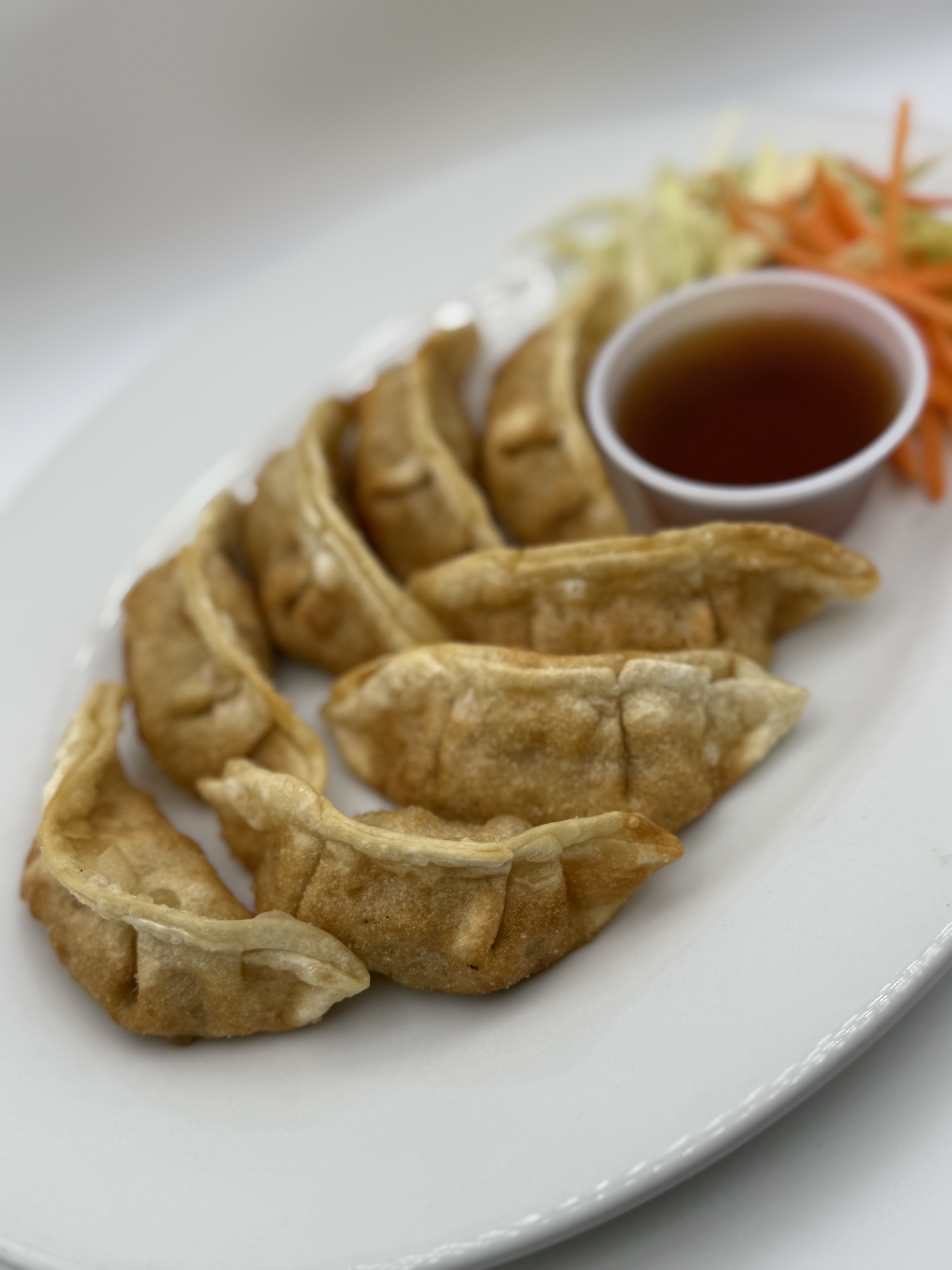 Gyoza Dumplings