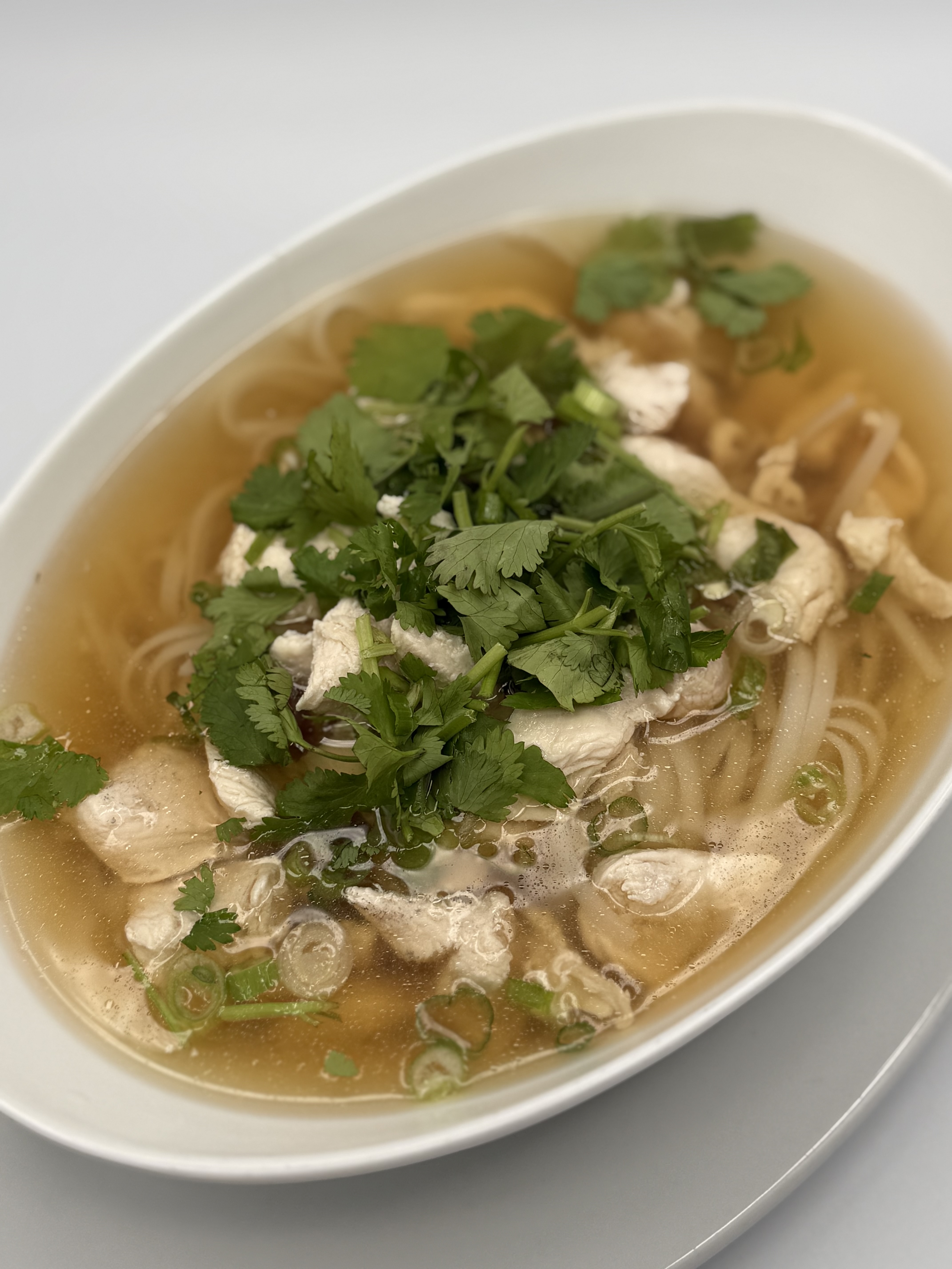 Big Bowl Noodle Soup