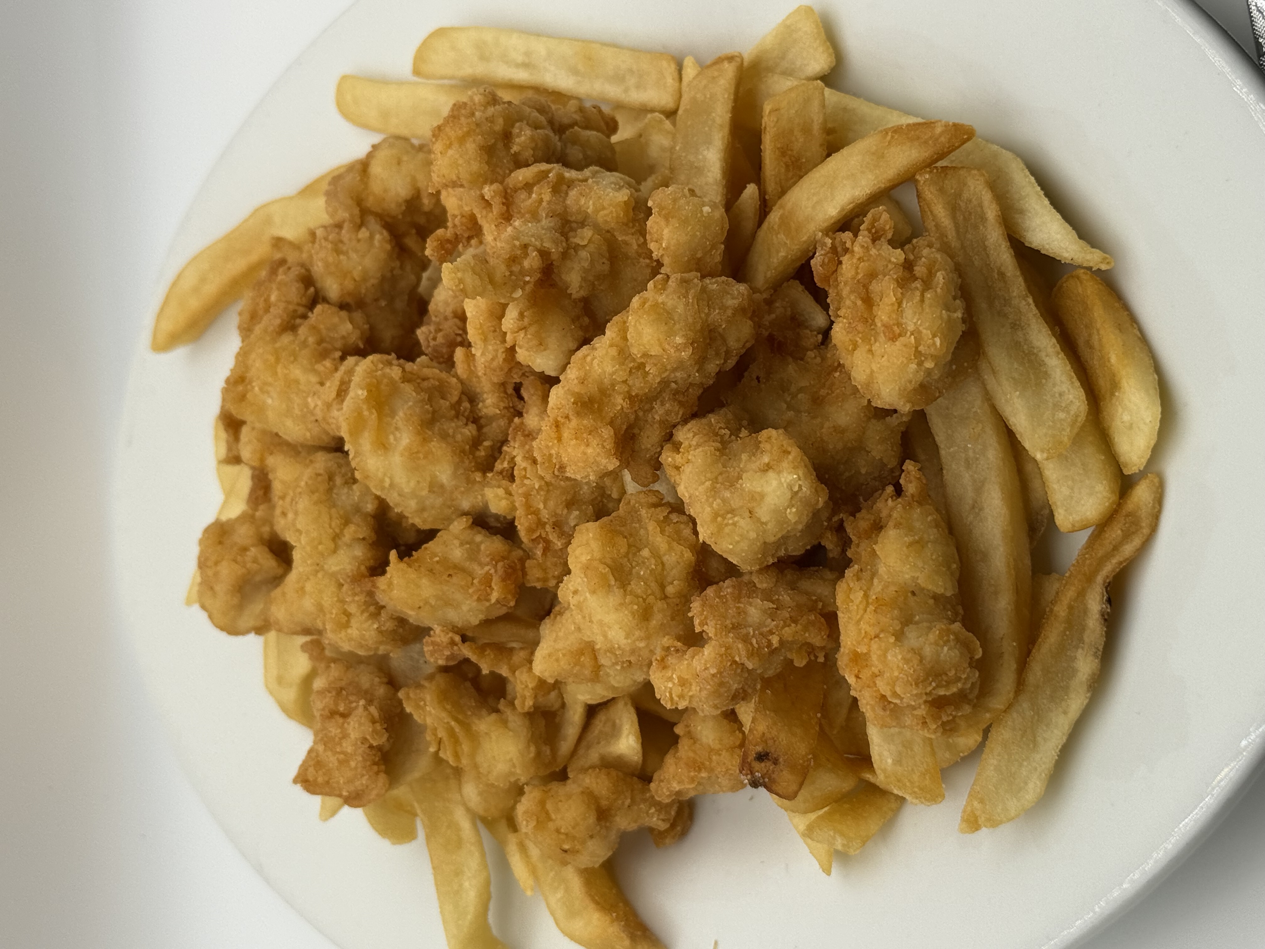 Kids Chicken Dippers